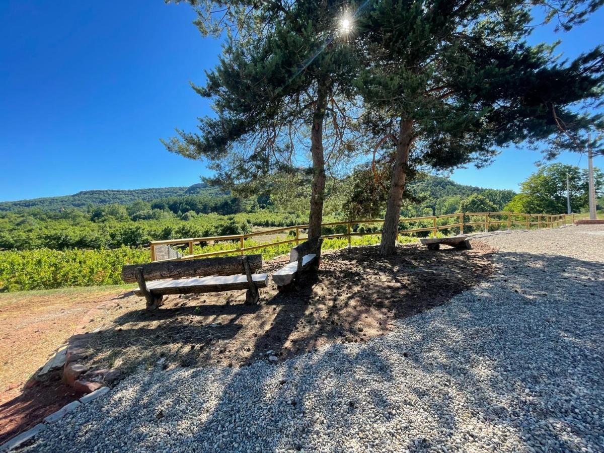 Prades Vila Bella - Casa Molinets I Casa Borrianes Kültér fotó